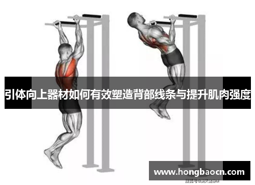 引体向上器材如何有效塑造背部线条与提升肌肉强度